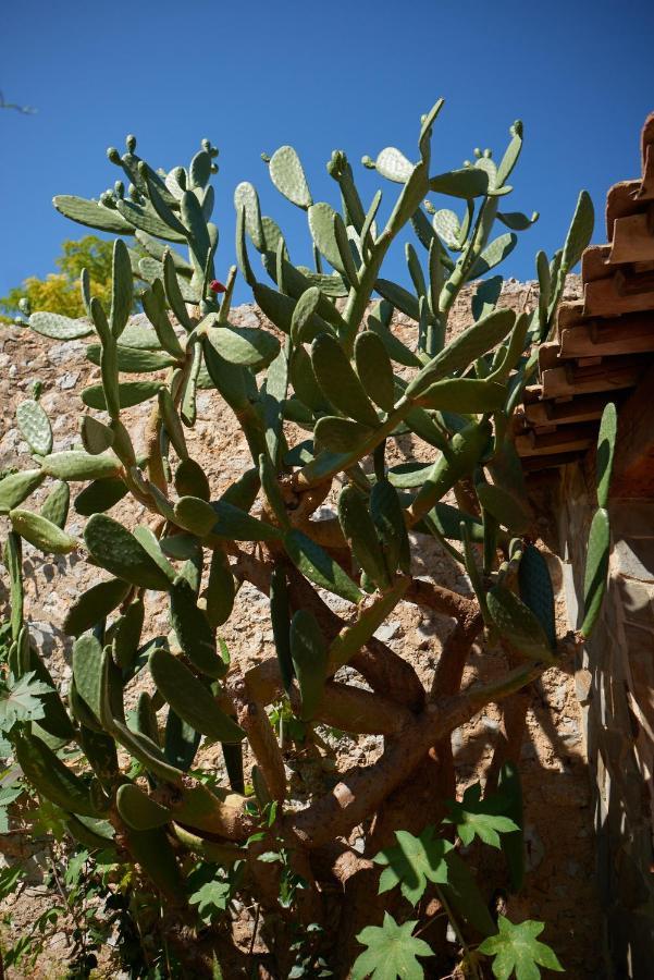 Jardin De Palme Lägenhet La Palme Exteriör bild