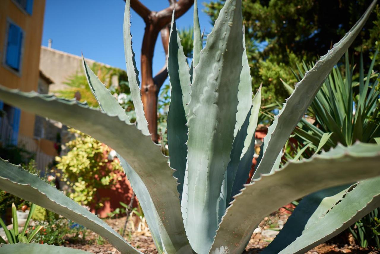 Jardin De Palme Lägenhet La Palme Exteriör bild